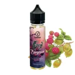Omnia Envy Evergreen 10 / 60ml