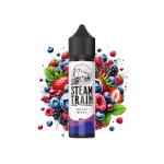 Steam Train Disposable Edition Forest Berry 20 / 60ml