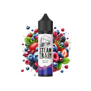 Steam Train Disposable Edition Forest Berry 20 / 60ml