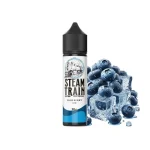 Steam Train Disposable Edition Blueberry Ice 20 / 60ml