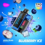 Vozol Vista Plug 20mg 2ml + 10ml Blueberry Ice (10.000 puffs)
