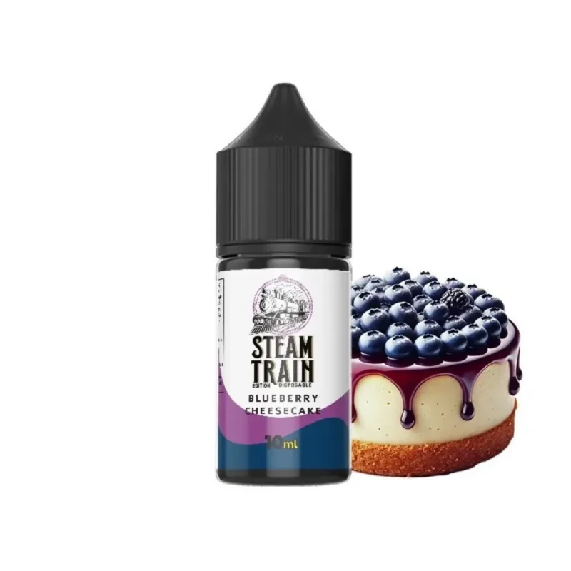 Steam Train Disposable Edition Blueberry Cheesecake 10/30ml