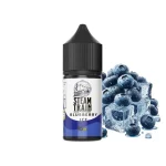 Steam Train Disposable Edition Blueberry Ice 10/30ml