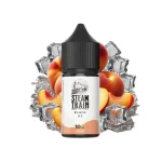 Steam Train Disposable Edition Peach Ice 10/30ml
