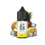 Steam Train Disposable Edition Pineapple Ice 10/30ml