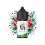 Steam Train Disposable Edition Watermelon Ice 10/30ml