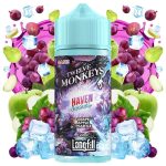 Twelve Monkeys Oasis Haven Iced 20ml/120ml